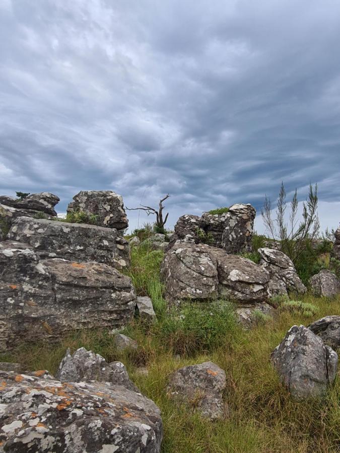 Coddiwomple Cottage Kaapsehoop Dış mekan fotoğraf